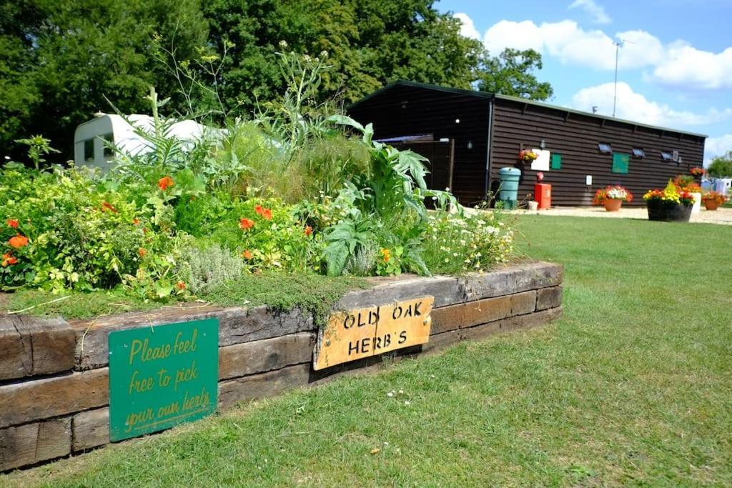 Glamping At South Lytchett Manor Poole Exterior foto